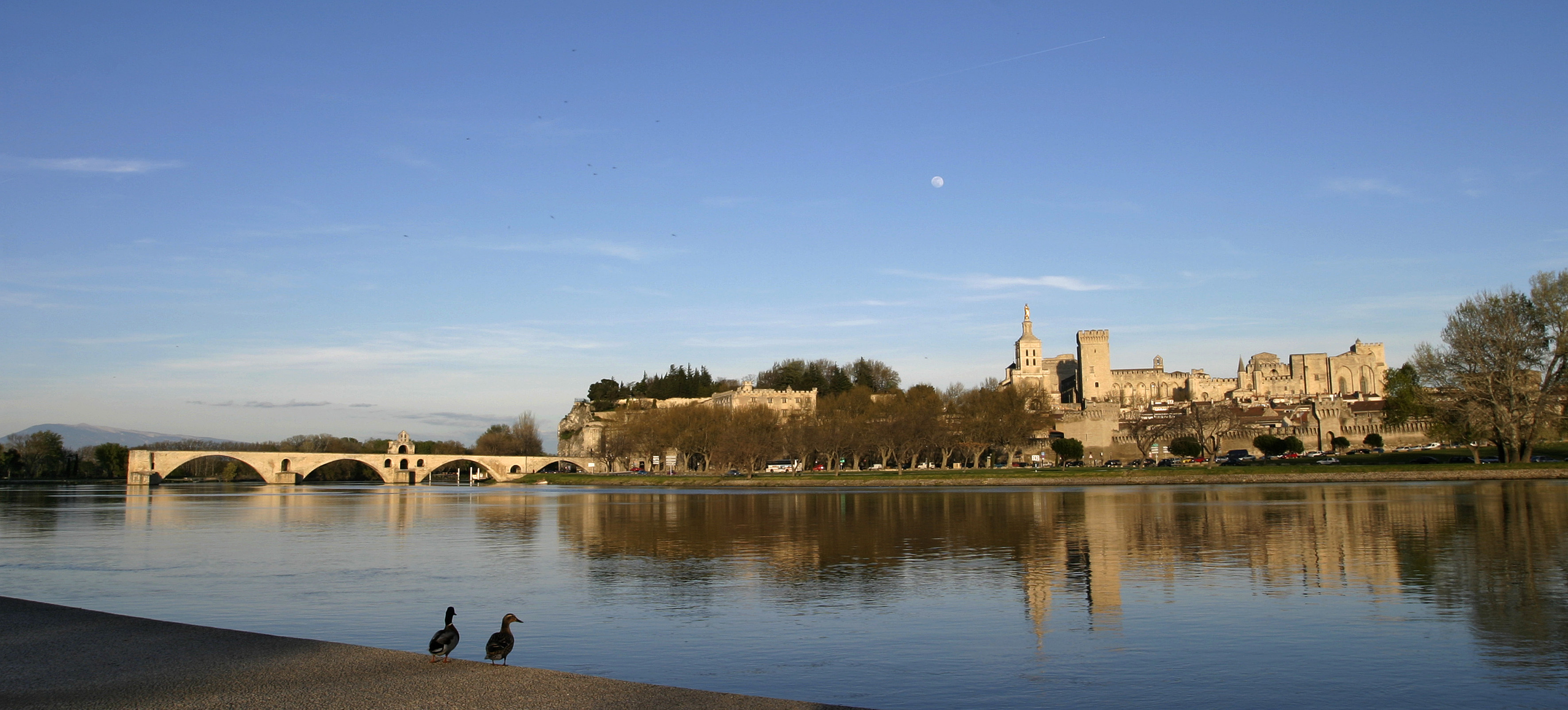 zone de rencontre avignon