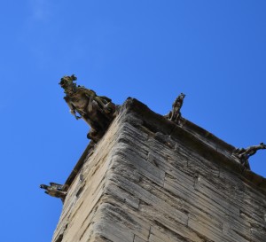 Cathedral gargouilles (4)