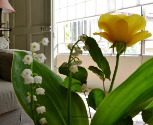 Muguet